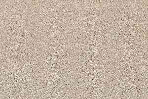 Ковролин Vorwerk Passion 1001 Vorwerk 8h81 фото  | FLOORDEALER