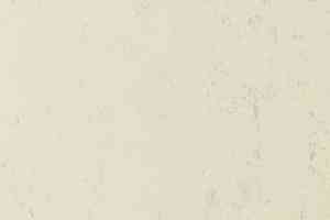 Линолеум Forbo Marmoleum Solid Concrete 3701-370135 moon фото  | FLOORDEALER