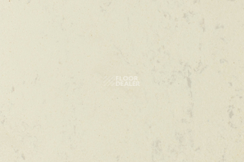 Forbo Marmoleum Solid Concrete 3701-370135 moon фото 1 | FLOORDEALER