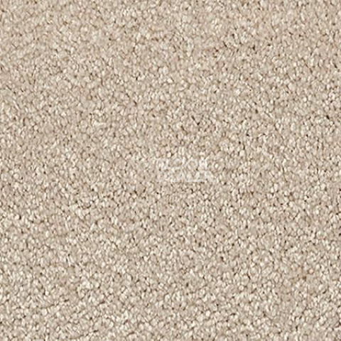 Ковролин Vorwerk Passion 1001 Vorwerk 8h81 фото 1 | FLOORDEALER