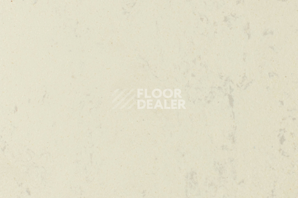 Линолеум Forbo Marmoleum Solid Concrete 3701-370135 moon фото 1 | FLOORDEALER