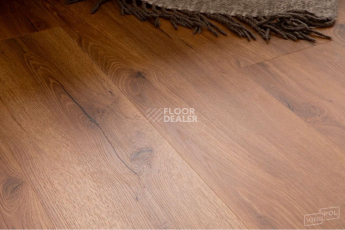 Vinilpol Glue 2мм 8833 EIR ДУБ САН-РЕМО фото 1 | FLOORDEALER