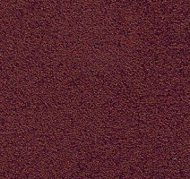 Ковролин AW Spirit 11 фото 1 | FLOORDEALER