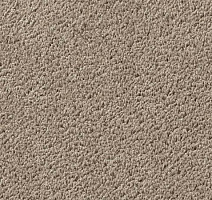 Ковролин Vorwerk Passion 1003 Vorwerk 8h95 фото 1 | FLOORDEALER