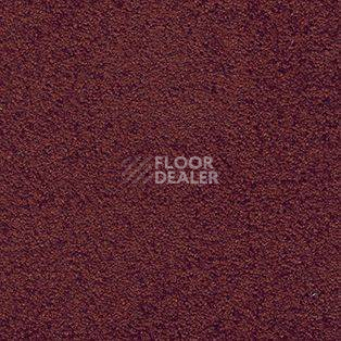Ковролин AW Spirit 11 фото 1 | FLOORDEALER