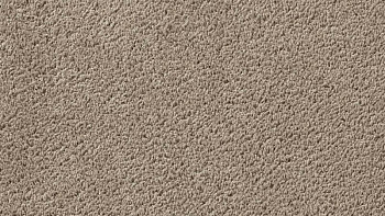 Ковролин Vorwerk Passion 1003 Vorwerk 8h95 фото 1 | FLOORDEALER