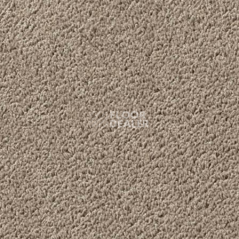 Ковролин Vorwerk Passion 1003 Vorwerk 8h95 фото 1 | FLOORDEALER