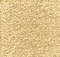 Ковролин Emphatic Beaulieu of America 56155 фото 1 | FLOORDEALER