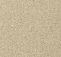 Ковролин Vorwerk Passion 1000/Modena Vorwerk 8e92 фото 1 | FLOORDEALER