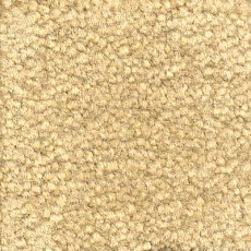 Emphatic Beaulieu of America 56155 фото 1 | FLOORDEALER