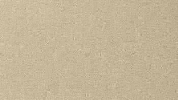 Ковролин Vorwerk Passion 1000/Modena Vorwerk 8e92 фото 1 | FLOORDEALER