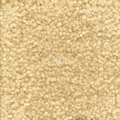 Ковролин Emphatic Beaulieu of America 56155 фото 1 | FLOORDEALER
