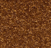 Ковролин AW Gala Equator 80 фото 1 | FLOORDEALER