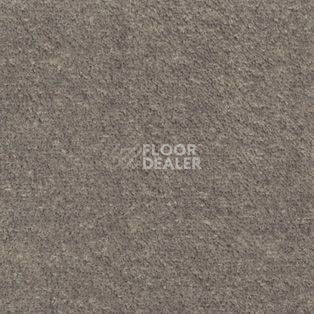 Ковролин AW Illusion 49 фото 1 | FLOORDEALER