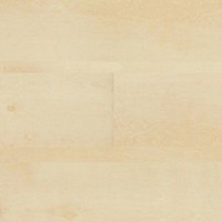 Polyflor Expona Wood 6108 фото 1 | FLOORDEALER