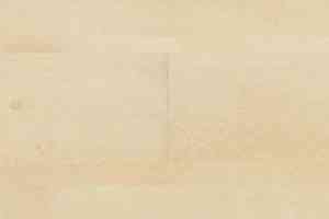 Линолеум Polyflor Expona Wood 6108 фото  | FLOORDEALER