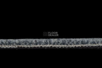 IVC Animate 559 фото 4 | FLOORDEALER