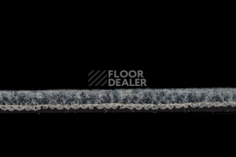 IVC Animate 559 фото 4 | FLOORDEALER