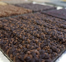 Ковровая плитка Desso Tree Tree фото 1 | FLOORDEALER