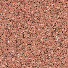 Линолеум Polysafe Corona Pur 5520 фото 1 | FLOORDEALER