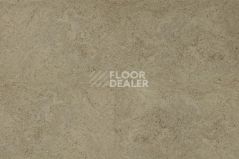 Eco Cork замковое Madeira Grey фото 2 | FLOORDEALER