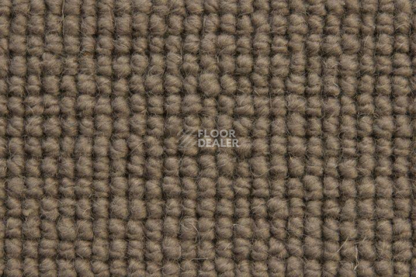 Ковролин Edel Burford Bridge 279 фото 1 | FLOORDEALER