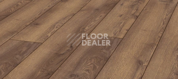 Ламинат Kronotex Mammut Plus d4726 Дуб Горный Коричневый фото 1 | FLOORDEALER