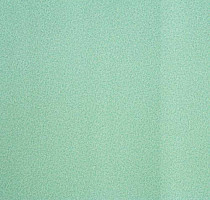 Линолеум Lg Calmpasso CP 93511 фото 1 | FLOORDEALER