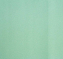 Линолеум Lg Calmpasso CP 93511 фото 1 | FLOORDEALER