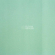 Линолеум Lg Calmpasso CP 93511 фото 1 | FLOORDEALER