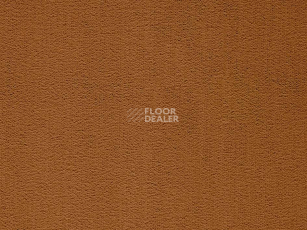 Ковролин Balta ITC Rossini 157 New фото 1 | FLOORDEALER