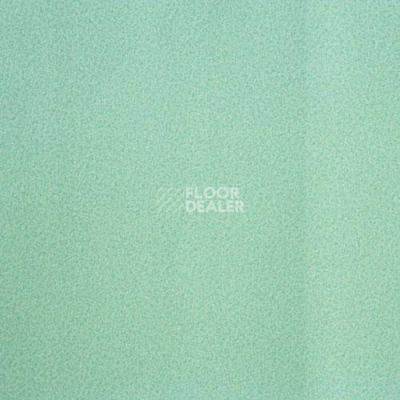 Линолеум Lg Calmpasso CP 93511 фото 1 | FLOORDEALER