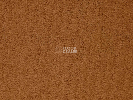 Ковролин Balta ITC Rossini 157 New фото 1 | FLOORDEALER