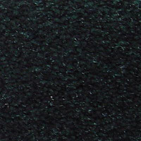 Ковролин Serene Beaulieu of America 11 фото 1 | FLOORDEALER