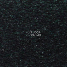 Ковролин Serene Beaulieu of America 11 фото 1 | FLOORDEALER