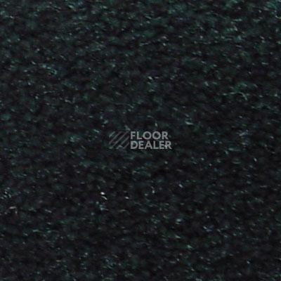 Ковролин Serene Beaulieu of America 11 фото 1 | FLOORDEALER