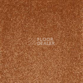 Ковролин AW Superbe 84 фото 1 | FLOORDEALER