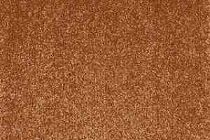 Ковролин AW Superbe 84 фото  | FLOORDEALER