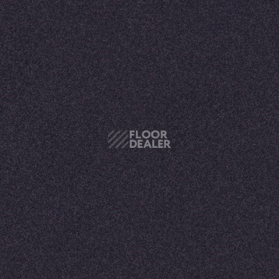 Ковровая плитка Interface Polichrome 7582 Velvet фото 1 | FLOORDEALER