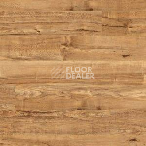 Линолеум Polyflor Camaro Wood 2202 фото 1 | FLOORDEALER