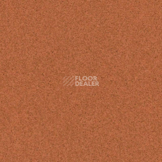 Линолеум Tarkett Primo Plus 305 фото 1 | FLOORDEALER