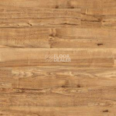 Линолеум Polyflor Camaro Wood 2202 фото 1 | FLOORDEALER