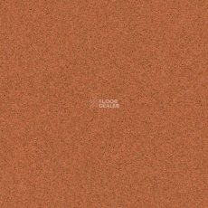 Tarkett Primo Plus 305 фото 1 | FLOORDEALER