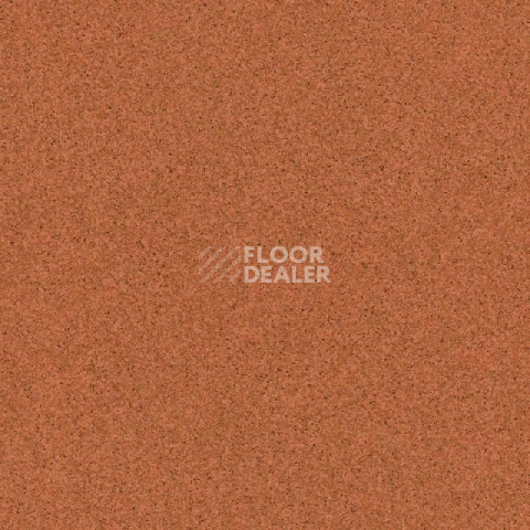 Линолеум Tarkett Primo Plus 305 фото 1 | FLOORDEALER