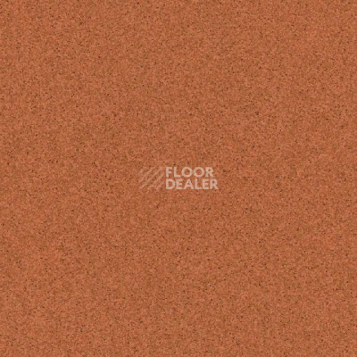 Линолеум Tarkett Primo Plus 305 фото 1 | FLOORDEALER