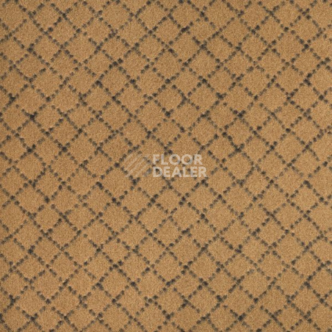 Ковролин Design Concept - Castille Castille 620 фото 1 | FLOORDEALER