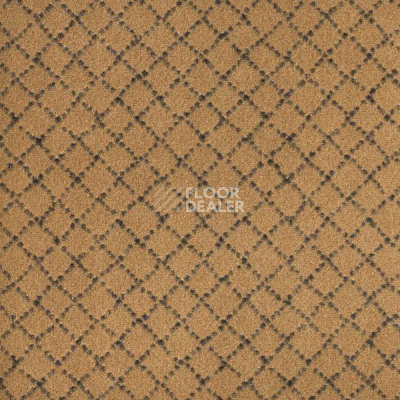 Ковролин Design Concept - Castille Castille 620 фото 1 | FLOORDEALER