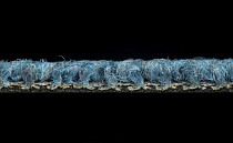 Desso Desert 8213 фото 4 | FLOORDEALER