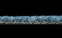 Desso Desert 8213 фото 4 | FLOORDEALER