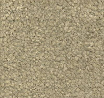 Ковролин Emphatic Beaulieu of America 56322 фото 1 | FLOORDEALER